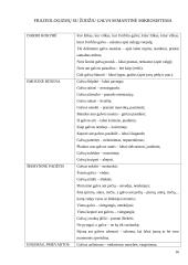 Žodžio "galva" frazeologizmai lietuvių ir prancūzų kalbose 16 puslapis