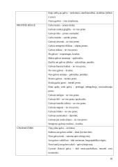 Žodžio "galva" frazeologizmai lietuvių ir prancūzų kalbose 18 puslapis