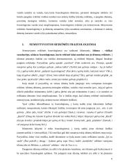 Žodžio "galva" frazeologizmai lietuvių ir prancūzų kalbose 6 puslapis