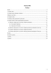 Valiutinės rizikos rūšys ir šios rizikos sumažinimo instrumentai 2 puslapis