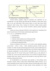 Valiutinės rizikos rūšys ir šios rizikos sumažinimo instrumentai 17 puslapis