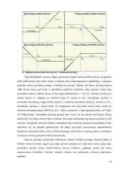 Valiutinės rizikos rūšys ir šios rizikos sumažinimo instrumentai 19 puslapis