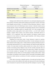 Valiutinės rizikos rūšys ir šios rizikos sumažinimo instrumentai 20 puslapis