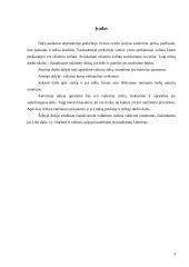 Valiutinės rizikos rūšys ir šios rizikos sumažinimo instrumentai 3 puslapis