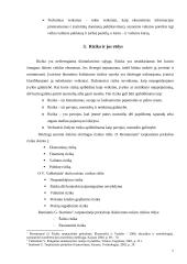 Valiutinės rizikos rūšys ir šios rizikos sumažinimo instrumentai 7 puslapis