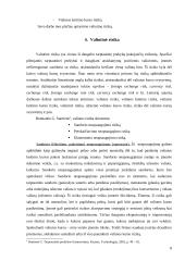 Valiutinės rizikos rūšys ir šios rizikos sumažinimo instrumentai 8 puslapis