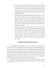 Valiutinės rizikos rūšys ir šios rizikos sumažinimo instrumentai 10 puslapis