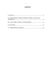 Valstybės vadovų atsakomybė už tarptautinius nusikaltimus 2 puslapis