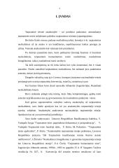 Valstybės vadovų atsakomybė už tarptautinius nusikaltimus 3 puslapis