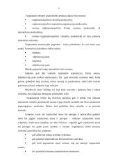 Valstybės vadovų atsakomybė už tarptautinius nusikaltimus 6 puslapis