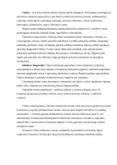 Cistito klinika 2 puslapis