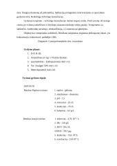 Cistito klinika 4 puslapis