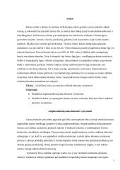 Mitybos reikšmė ėduonies vystymuisi 3 puslapis