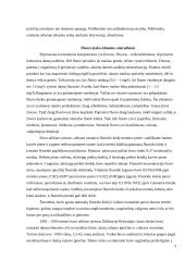 Mitybos reikšmė ėduonies vystymuisi 9 puslapis