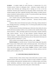 Vartojimo  prekių ir gamybinės paskirties prekių pirkimo procesas 11 puslapis