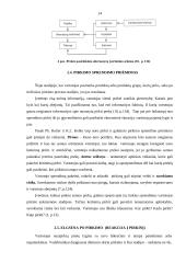 Vartojimo  prekių ir gamybinės paskirties prekių pirkimo procesas 14 puslapis