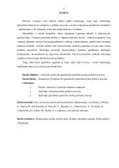 Vartojimo  prekių ir gamybinės paskirties prekių pirkimo procesas 3 puslapis