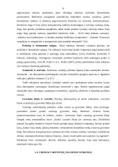 Vartojimo  prekių ir gamybinės paskirties prekių pirkimo procesas 8 puslapis