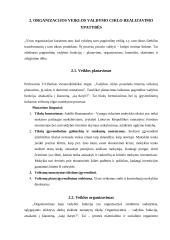 Organizacijos valdymo ypatybės 11 puslapis