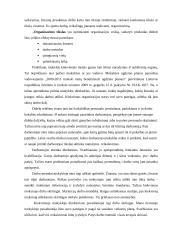 Organizacijos valdymo ypatybės 12 puslapis