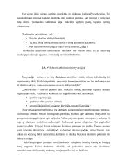 Organizacijos valdymo ypatybės 13 puslapis