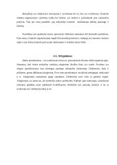 Organizacijos valdymo ypatybės 15 puslapis