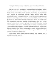 Organizacijos valdymo ypatybės 17 puslapis