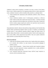 Organizacijos valdymo ypatybės 18 puslapis