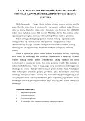 Organizacijos valdymo ypatybės 3 puslapis