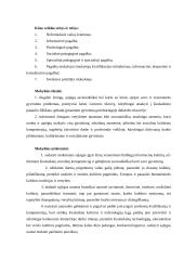 Organizacijos valdymo ypatybės 4 puslapis