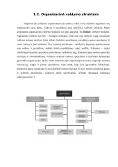 Organizacijos valdymo ypatybės 5 puslapis