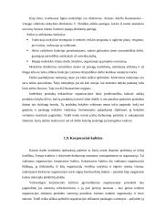 Organizacijos valdymo ypatybės 9 puslapis