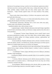 Organizacijos valdymo ypatybės 10 puslapis