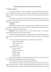 Vartotojų elgsena rinkoje 8 puslapis