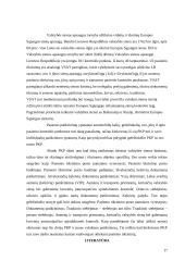 Pareigūnų darbas pasienio kontrolės punktuose (PKP) 17 puslapis