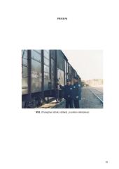 Pareigūnų darbas pasienio kontrolės punktuose (PKP) 19 puslapis