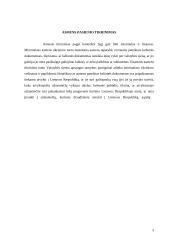 Pareigūnų darbas pasienio kontrolės punktuose (PKP) 3 puslapis