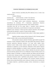 Pareigūnų darbas pasienio kontrolės punktuose (PKP) 4 puslapis