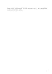 Pareigūnų darbas pasienio kontrolės punktuose (PKP) 5 puslapis