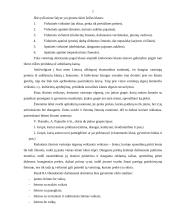 Vartotojų elgsena: restoranas UAB "McDonalds" 6 puslapis