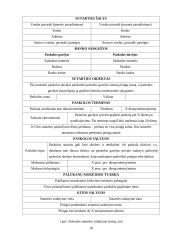 Paskolos sutarties rūšys ir forma 10 puslapis