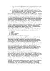 Platono asmenybė ir "Valstybė" 3 puslapis