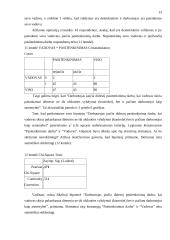 Veiksniai, įtakojantys pasitenkinimą darbu 13 puslapis