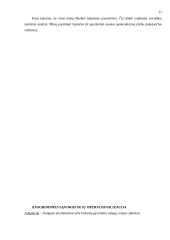 Veiksniai, įtakojantys pasitenkinimą darbu 17 puslapis