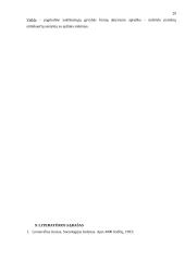 Veiksniai, įtakojantys pasitenkinimą darbu 20 puslapis