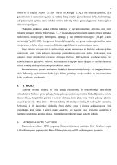 Veiksniai, įtakojantys pasitenkinimą darbu 4 puslapis