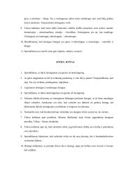 Platonas "Valstybė" išplėstinis planas 2 puslapis