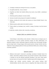 Platonas "Valstybė" išplėstinis planas 4 puslapis