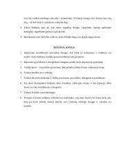 Platonas "Valstybė" išplėstinis planas 5 puslapis