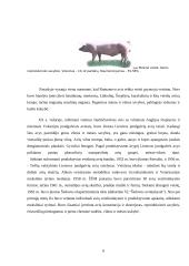 Veisimo metodai gyvulininkystėje 4 puslapis